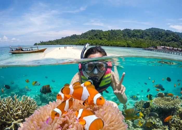 Spot Snorkeling Pulau Pahawang 7 Lokasi Menarik untuk Dijelajahi