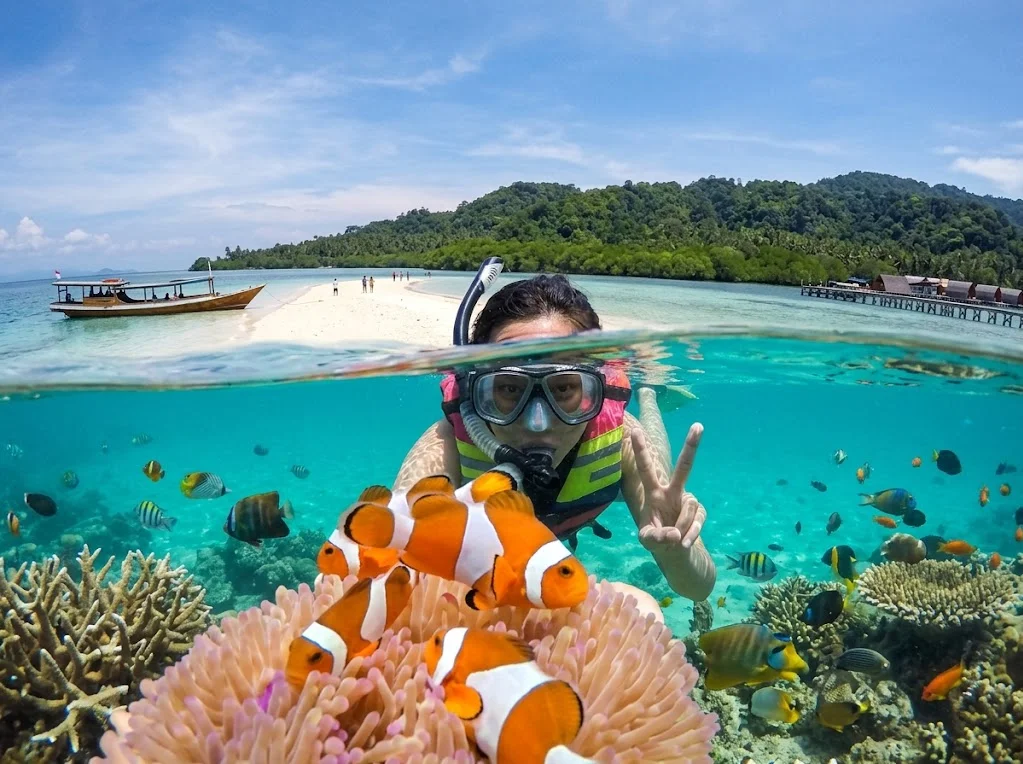 Spot Snorkeling Pulau Pahawang 7 Lokasi Menarik untuk Dijelajahi Spot Snorkeling Pulau Pahawang 7 Lokasi Menarik untuk Dijelajahi